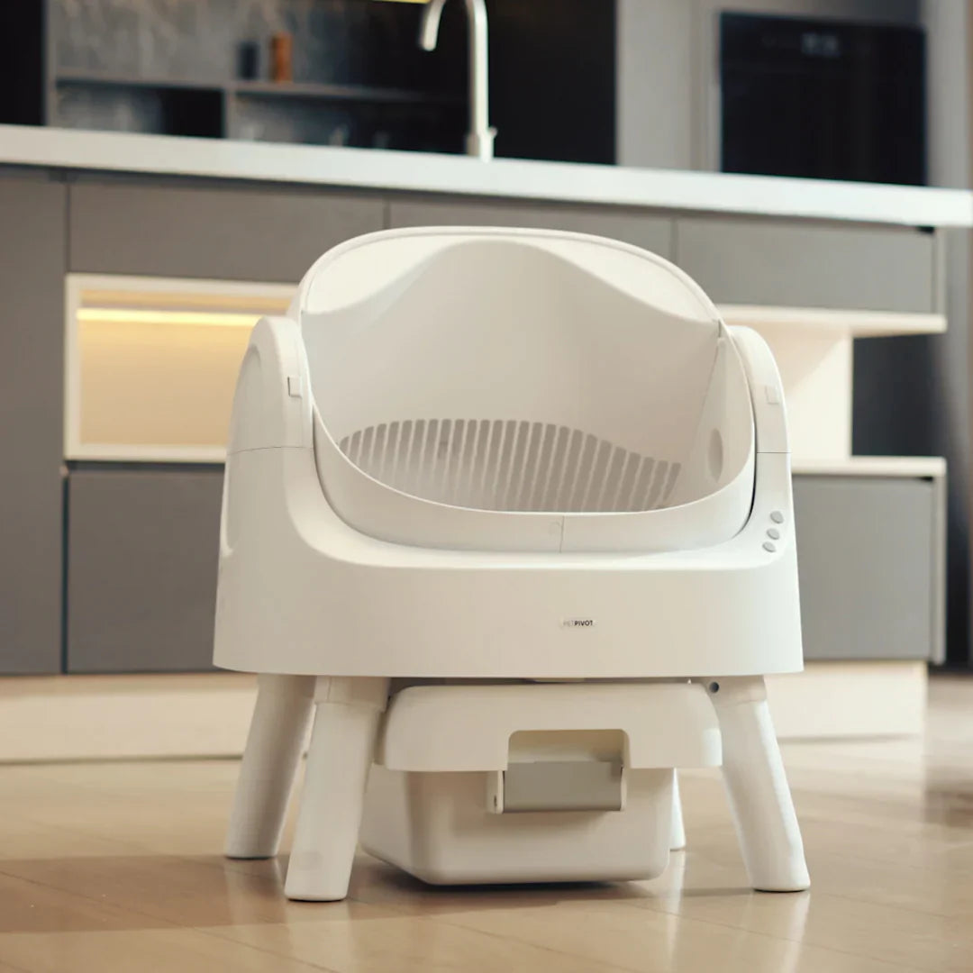 Smart Cat Box